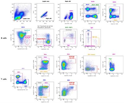 A novel flow cytometry panel to identify prognostic markers for steroid-sensitive forms of idiopathic nephrotic syndrome in childhood